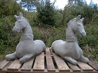 picture of horses
